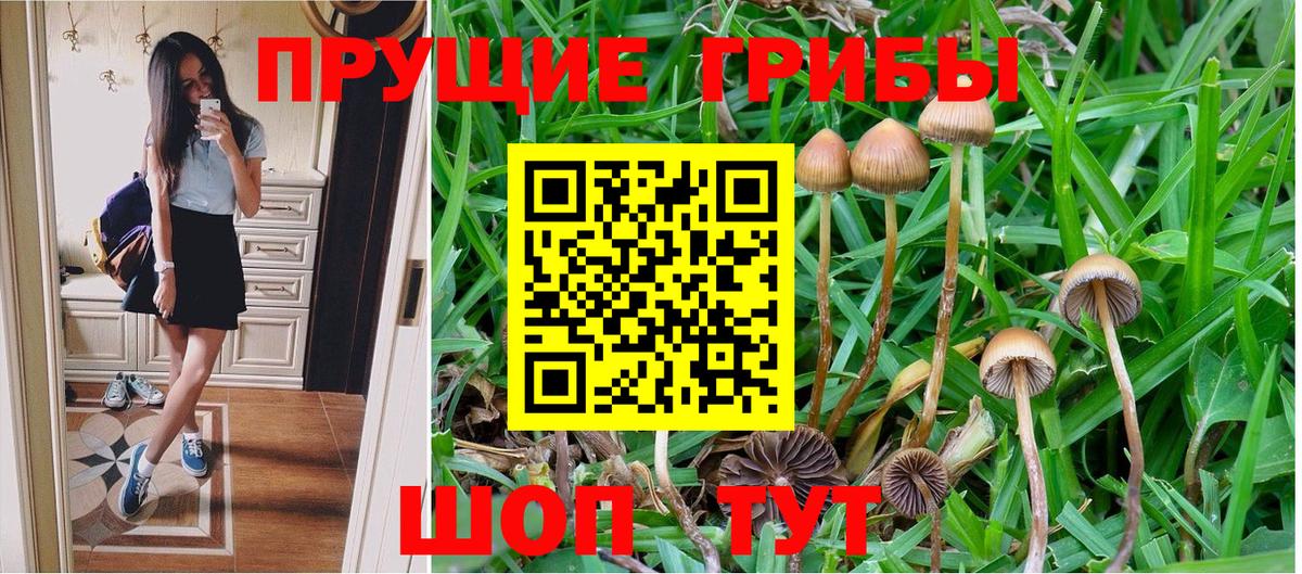 Нижнеудинск  Псилоцибиновые грибы Magic Shrooms  Вход с VPN 