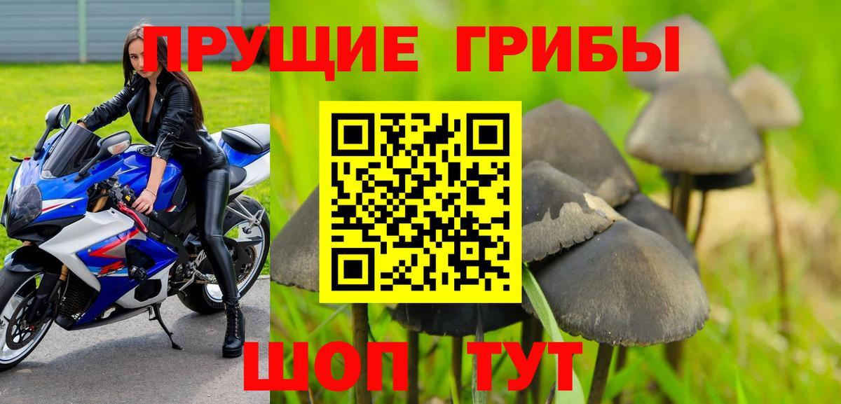 Псилоцибиновые грибы ЛСД Нижнеудинск